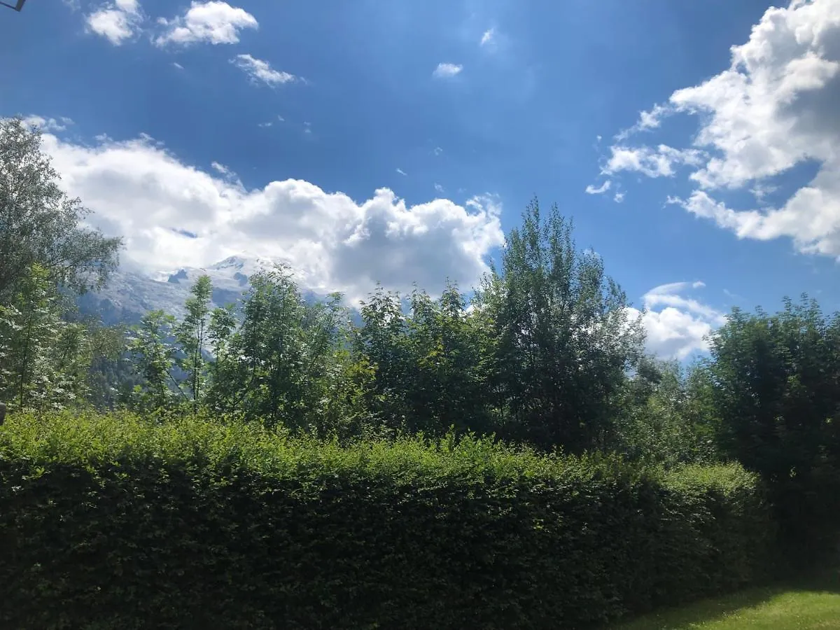 Studio Avec Terrasse Vue Mont Blanc location